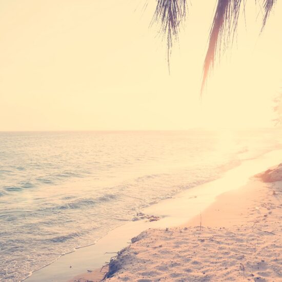 Sea shore, Yara Zgheib