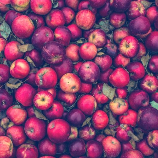 Apples, Yara Zgheib