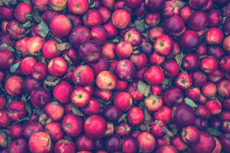 Apples, Yara Zgheib