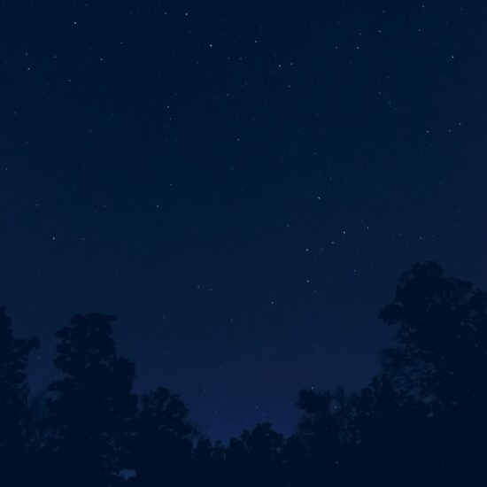 Constellations, Yara Zgheib