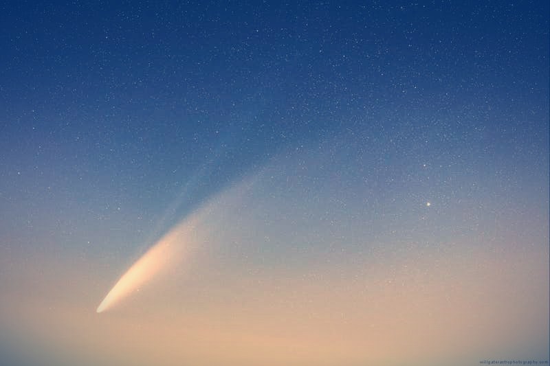 Neowise Comet, Yara Zgheib