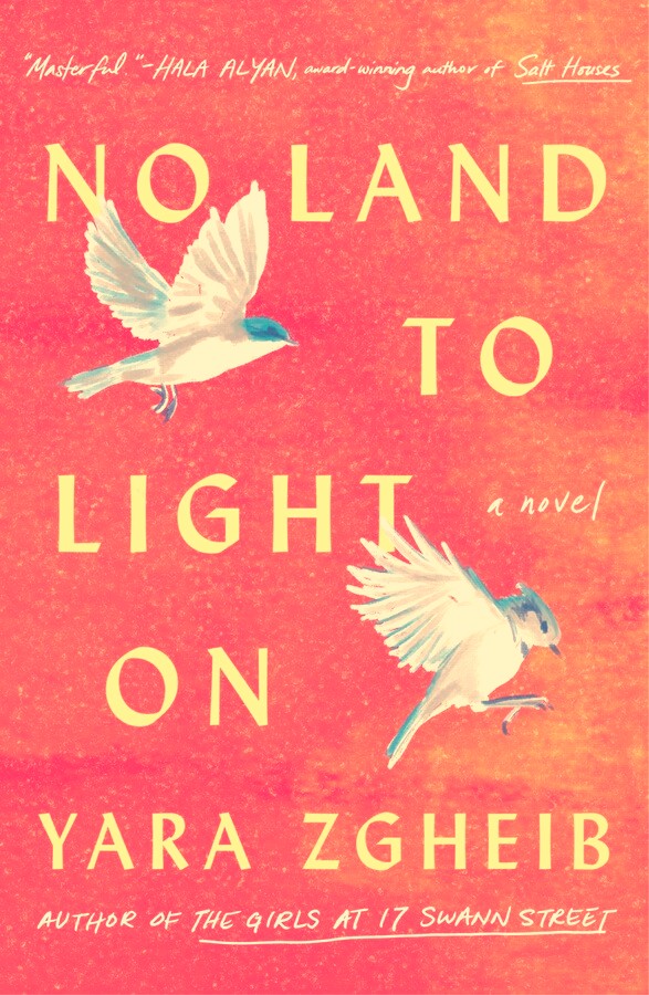 No Land to Light On book cover