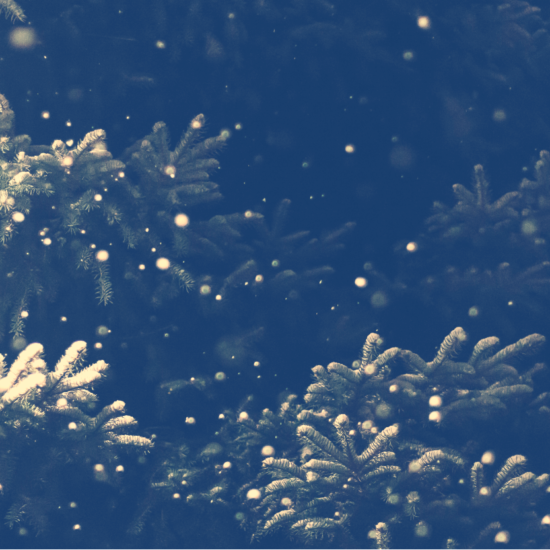 Snow Christmas Tree Yara Zgheib Silent Night