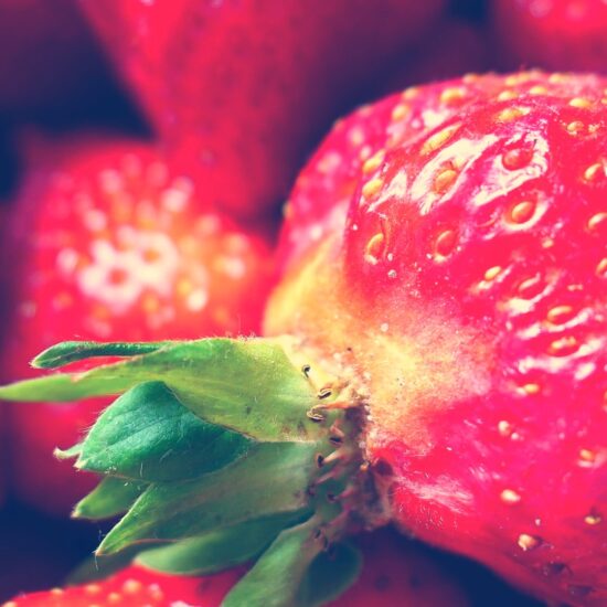 Strawberries Yara Zgheib