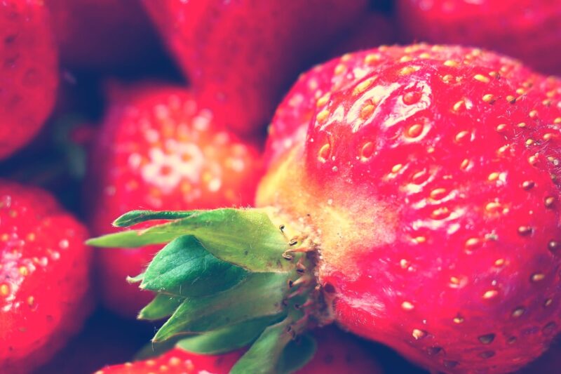 Strawberries Yara Zgheib